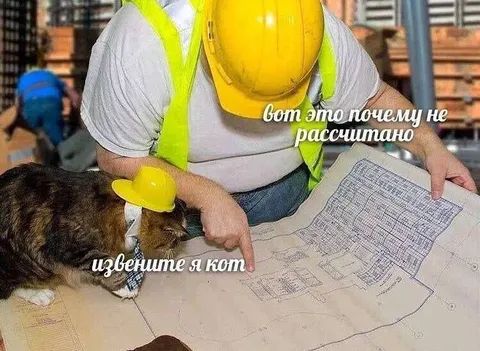 Кот не рассчитан на стройке