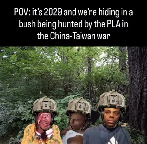 Hiding From the PLA in 2029