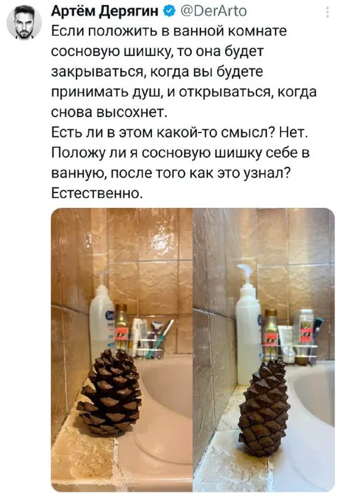 Сосновая шишка в ванной