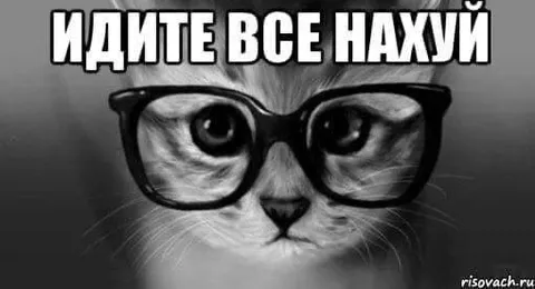 Кот в очках посылает всех