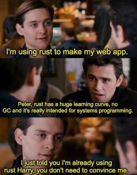 Already Using Rust Meme