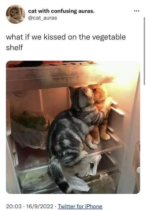 Kissing on the Vegetable Shelf