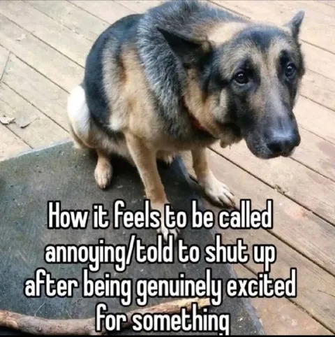 Excited Then Told to Shut Up