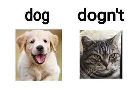Dog vs Dogn't
