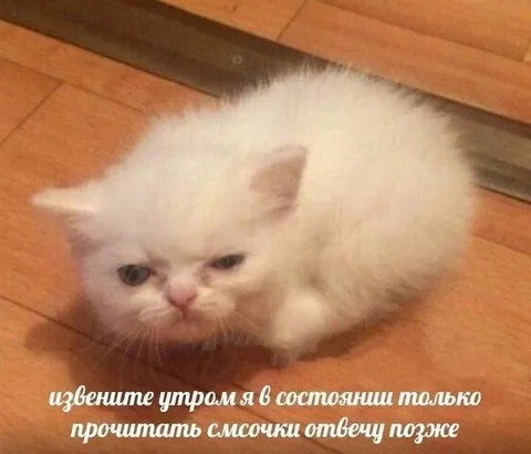 Утром отвечу позже