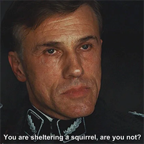You Are Sheltering a Squirrel