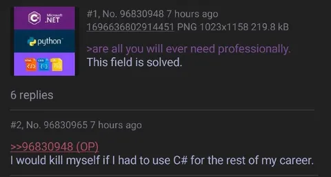 Programming Field Is Solved