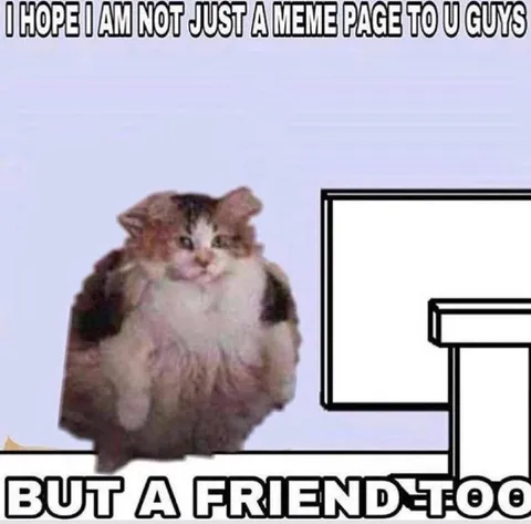 Not Just a Meme Page