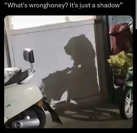 What's Wrong, Honey? Just a Shadow