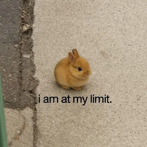 Tiny Bunny at Its Limit