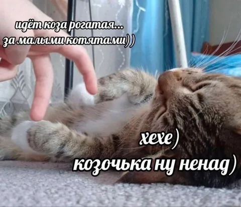 Коза идёт за котятами