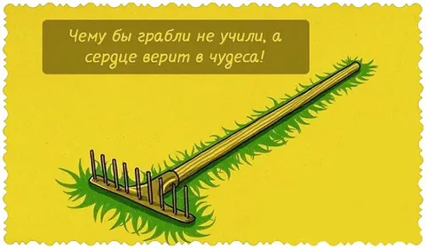 Сердце верит в чудеса
