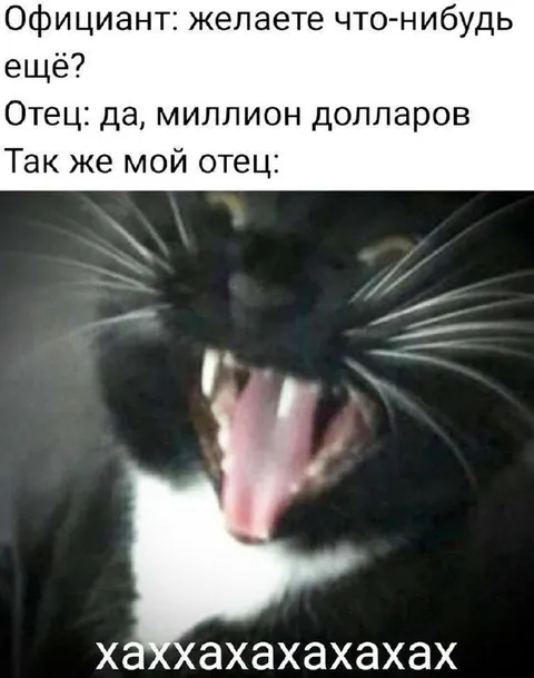 Отец попросил миллион долларов
