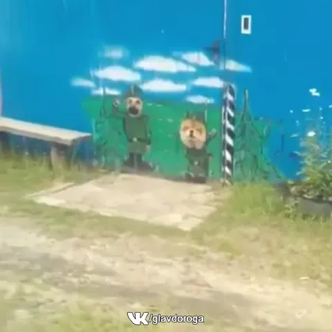 Собаки охраняют ворота