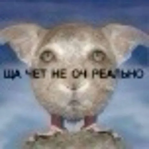 Ща съет не серьёзно