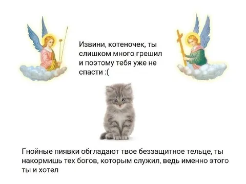Котёнок слишком много грешил