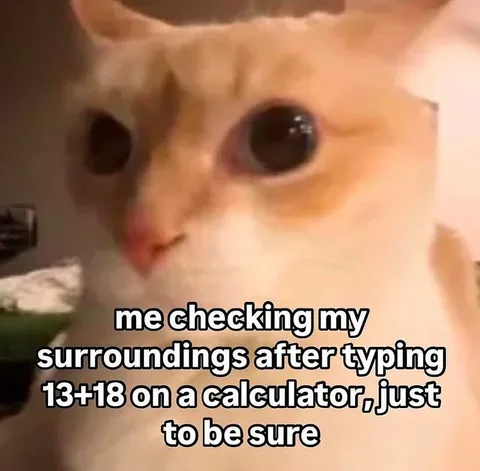 Cat Checking the Calculator Result