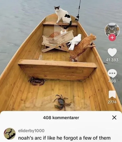 Noah's Ark Forgot a Few