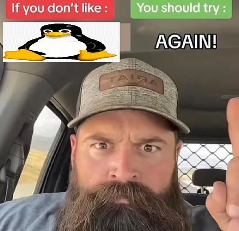 If You Don't Like It, Try Again