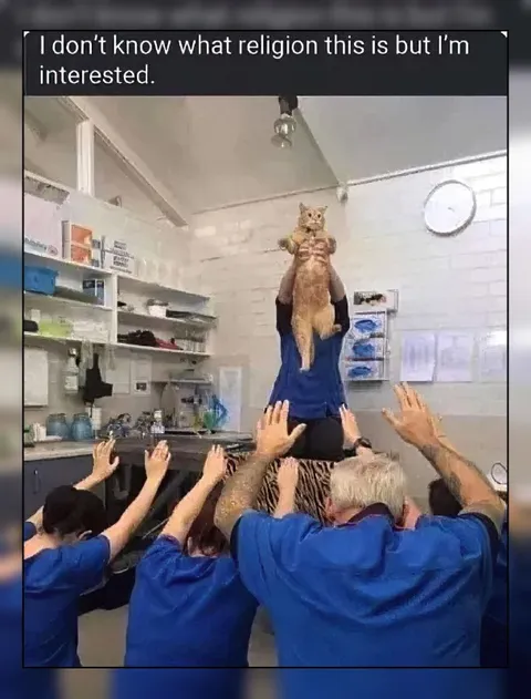 Cat Worship Religion
