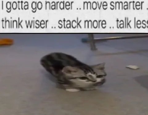 I Gotta Go Harder Cat