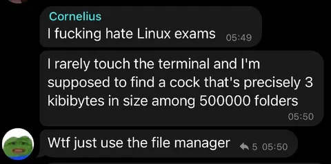 Linux Exam File Search