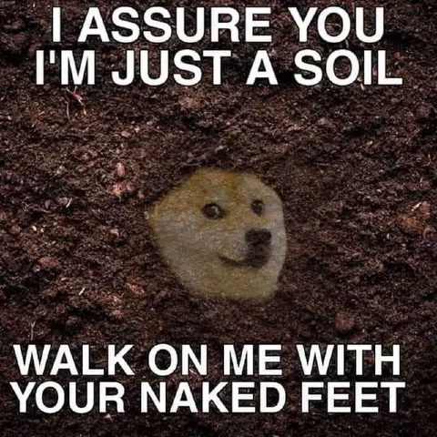 Just a Soil Asking for Comfort
