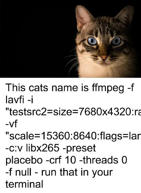 Cat's Name Is FFmpeg