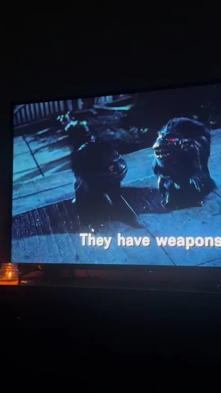 They Have Weapons, So What