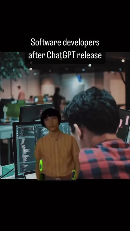 Software Developers After ChatGPT