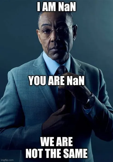 I Am NaN, You Are NaN