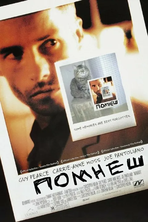 Помнишь кота на постере