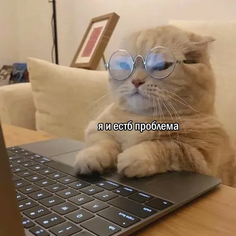 Кот и есть проблема