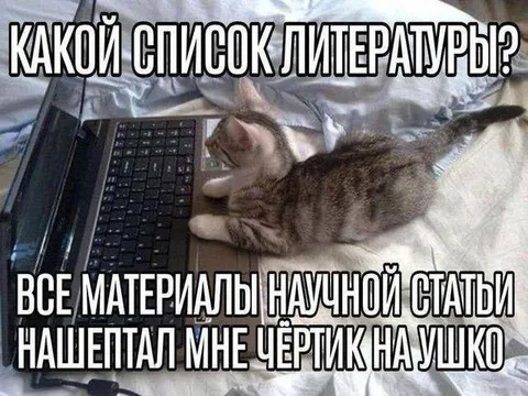 Кот нашептал материалы статьи