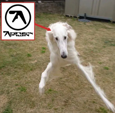 Dog Resembles Atari Logo
