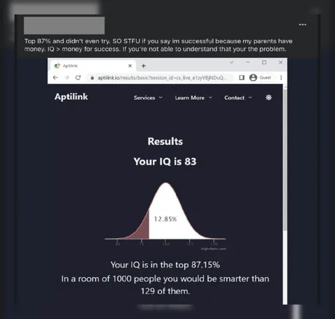 Top 87% IQ Results