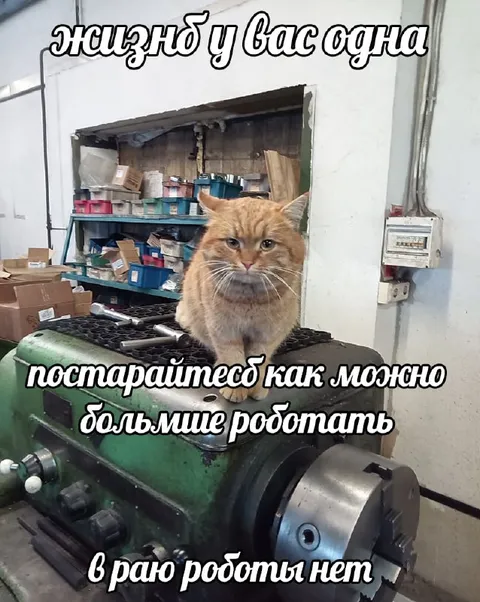 Жизнь одна — работайте больше