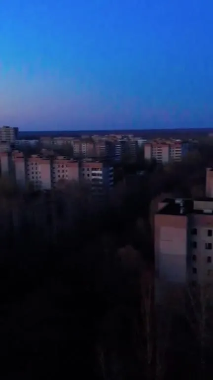 Птички над мрачным городом