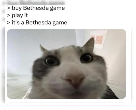 Buy Bethesda Game Anyway