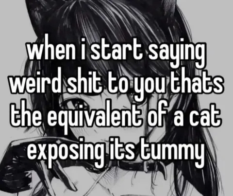 When Weird Talk Gets Cat-Level