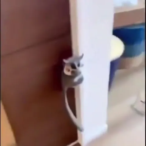 Mauricio Can't Move It Anymore
