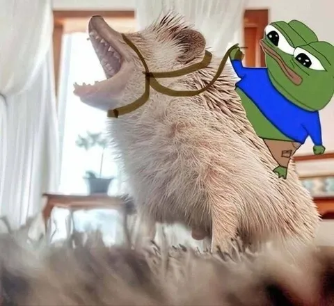 Пепе скачет на лохматом звере