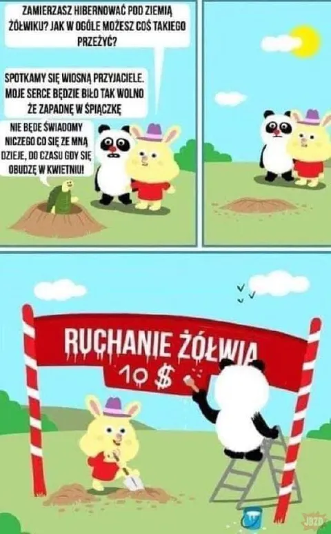 Żółw budzi się w kwietniu