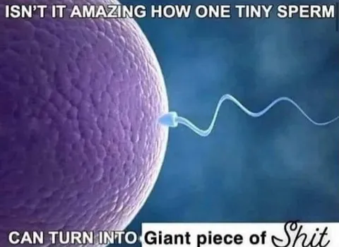 One Tiny Sperm