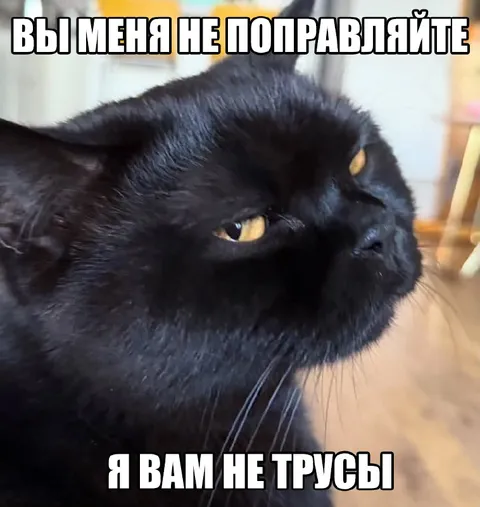 Я вам не трусы