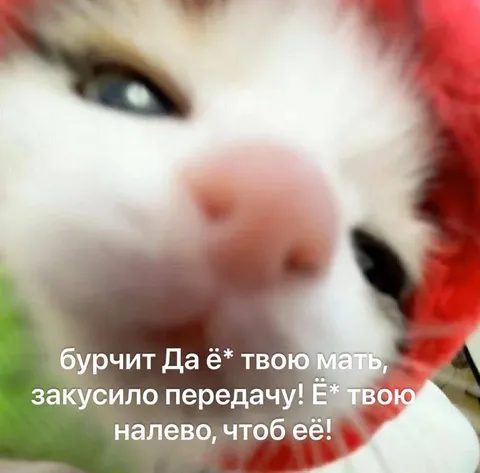 Бурчит на закусившую передачу