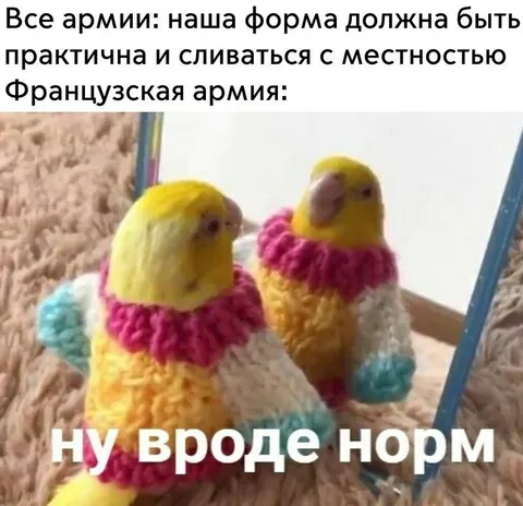 Французская армия: ну вроде норм