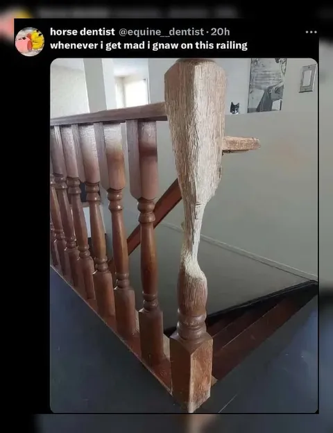 Horse Gnaws Railing When Mad