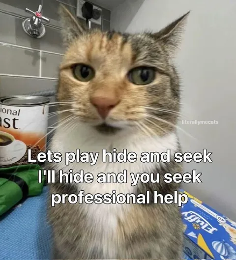 Hide and Seek Professional Help