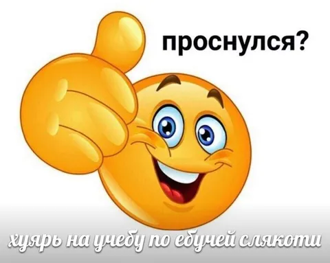 Проснулся? Хуярь на учёбу